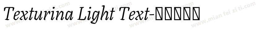 Texturina Light Text字体转换
